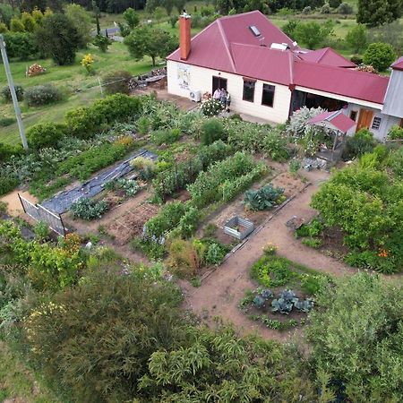 Cherry Top Farmstay - Boutique Eco Village Lilydale Екстер'єр фото